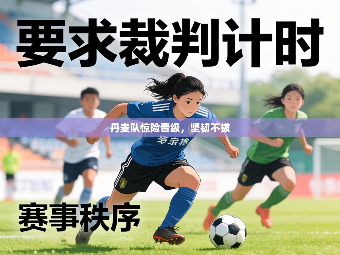 丹麦队惊险晋级，坚韧不拔  第1张